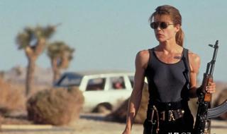 侠胆雄狮文森特 侠胆雄狮文森特