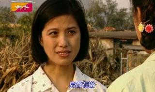 电视剧辘轳女人和井 电视剧辘轳女人和井