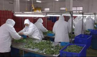 南通电视台城市日历 南通电视台城市日历