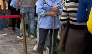 菁苗幼儿园 菁苗幼儿园