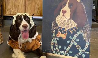 南京艾贝尔宠物医院 南京艾贝尔宠物医院