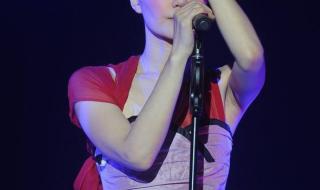 小红莓主唱 小红莓主唱