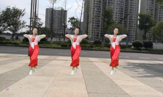 风含情水含笑广场舞