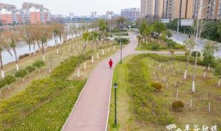 武汉经开区 武汉经开区