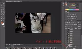 ps去水印教程 ps去水印教程