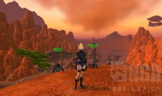 血精灵盗贼 血精灵盗贼