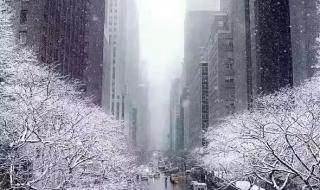 河北十月飞雪一夜入冬 河北十月飞雪一夜入冬