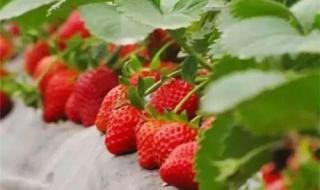 周末去哪玩 周末去哪玩