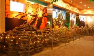 上海地质科普馆 上海地质科普馆