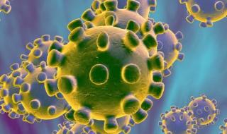 奥密克戎毒株有几种