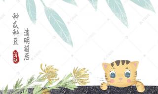 清明节吃青团的寓意 清明节吃青团的寓意