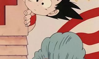 恋爱从告白开始全集